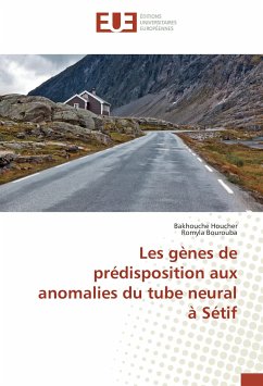 Les gènes de prédisposition aux anomalies du tube neural à Sétif - Houcher, Bakhouche;Bourouba, Romyla