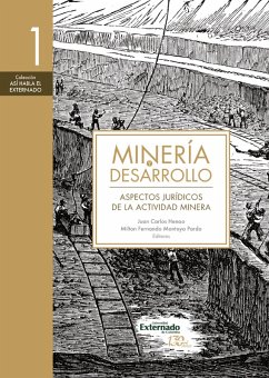 Minería y desarrollo. Tomo 1 (eBook, ePUB) - Acero Gallego, Luis Guillermo