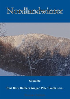 Nordlandwinter (eBook, ePUB)