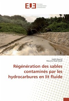 Cover Régénération des sables contaminés par les hydrocarbures en lit fluide