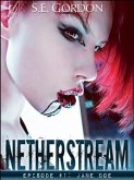 Netherstream - Episode 1: Jane Doe (eBook, ePUB)