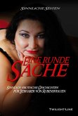 Eine runde Sache (eBook, ePUB)