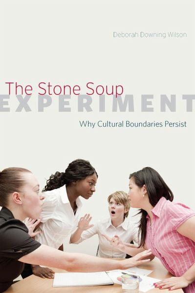 The Stone Soup Experiment (eBook, ePUB)