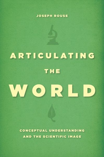 Articulating the World (eBook, ePUB)