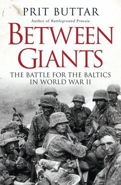 Between Giants (eBook, PDF) - Buttar, Prit