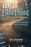 Not a Blueprint; It's the Shoeprints That Matter (eBook, ePUB)