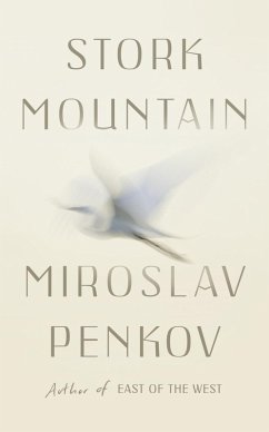 Stork Mountain (eBook, ePUB) - Penkov, Miroslav
