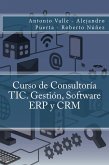 Curso de Consultoría TIC. Gestión, Software ERP y CRM (eBook, ePUB)