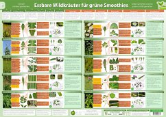 Cover Essbare Wildkräuter für Grüne Smoothies Teil 1 - Wandposter (2024)