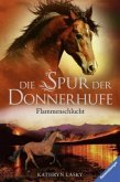 Flammenschlucht / Die Spur der Donnerhufe Bd.1