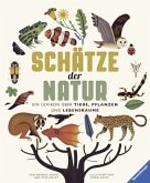 Schätze der Natur (Restexemplar) Schätze der Natur (Restexemplar)