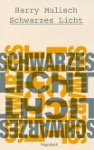 Schwarzes Licht (eBook, ePUB)