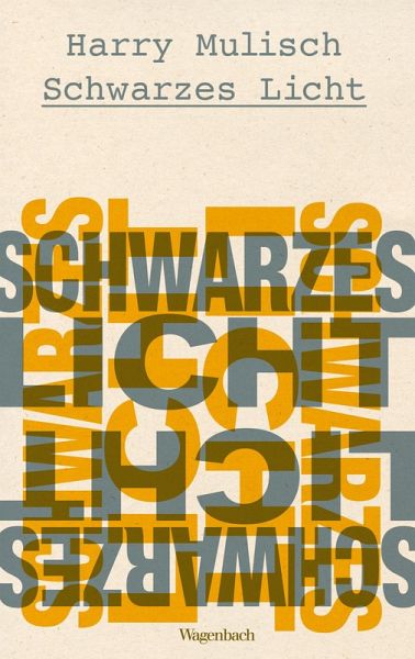 Schwarzes Licht (eBook, ePUB)