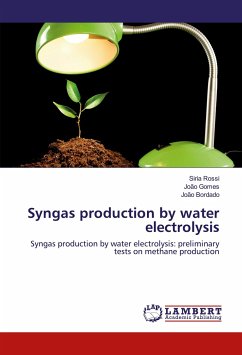 Syngas production by water electrolysis