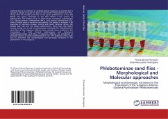 Phlebotominae sand flies -Morphological and Molecular approaches