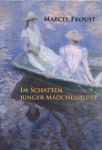 Im Schatten junger Mädchenblüte (eBook, ePUB)