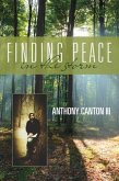 Finding Peace in the Storm (eBook, ePUB)