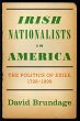 Irish Nationalists in America (eBook,... - Bild 1
