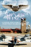 Silver Wings (eBook, ePUB)