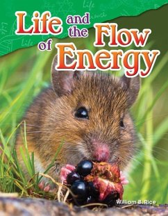 Cover Life and the Flow of Energy (eBook, PDF)