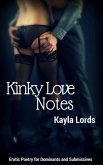 Kinky Love Notes (eBook, ePUB)