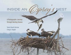 Inside an Osprey's Nest: A Photographic Journey Through Nesting Season - Ruark Gorrow, Teena; Koppie, Craig