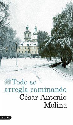 Todo se arregla caminando - Molina, César Antonio