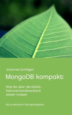 MongoDB kompakt - Schildgen, Johannes