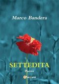 Settedita (eBook, PDF)