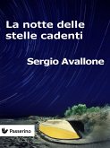 La notte delle stelle cadenti (eBook, ePUB)