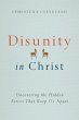 Disunity in Christ (eBook, ePUB) - Bild 1