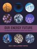 Our Energy Future (eBook, ePUB)