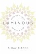 Luminous (eBook, ePUB) - Bild 1
