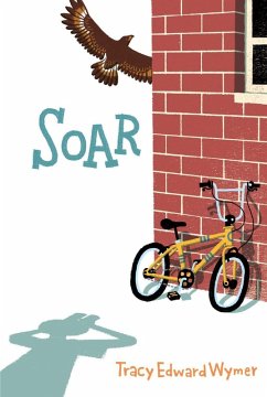 Cover Soar (eBook, ePUB)