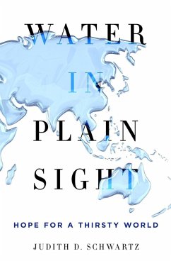Water in Plain Sight (eBook, ePUB) - Schwartz, Judith D.