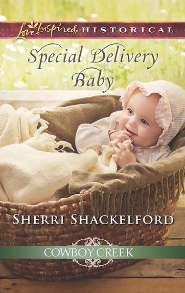 Special Delivery Baby (eBook, ePUB) Special Delivery Baby (eBook, ePUB)