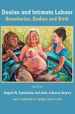 Doulas and Intimate Labour: Boundaries, Bodies and Birth (eBook, PDF)