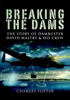 Cover Breaking the Dams (eBook, ePUB)