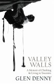 Valley Walls (eBook, ePUB)