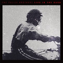 Life In The Dark - Felice Brothers