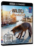 Wildes Venedig HD-Classic Collection