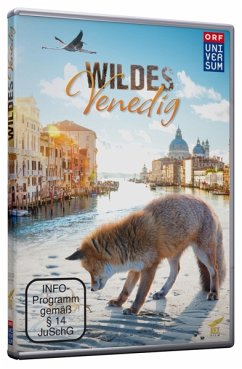 Cover Wildes Venedig