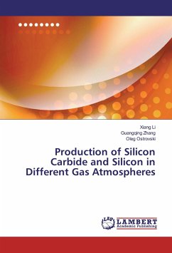Production of Silicon Carbide and Silicon in Different Gas Atmospheres - Li, Xiang;Zhang, Guangqing;Ostrovski, Oleg