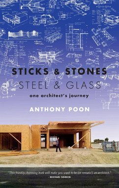 Sticks & Stones / Steel & Glass - Poon, Anthony