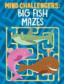 Mind Challengers: Big Fish Mazes