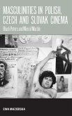 Masculinities in Polish, Czech and Slovak Cinema