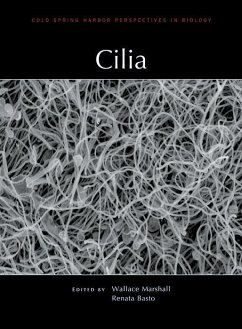 Cilia