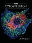 Cytoskeleton