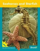 Seahorses and Starfish