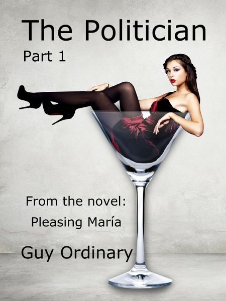 The Politician (eBook, ePUB)